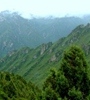 青海省對(duì)天然林保護(hù)工程進(jìn)行績(jī)效評(píng)價(jià)，對(duì)2018年度森林管護(hù)工作進(jìn)行了巡回監(jiān)理，實(shí)現(xiàn)績(jī)效評(píng)價(jià)和監(jiān)理工作的全覆蓋。
